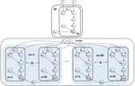 Bayesian sparse hierarchical model for image denoising